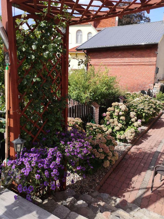 Villa Basia 미엥지즈드로예 외부 사진
